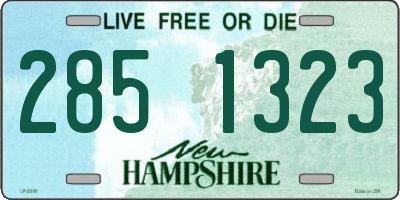 NH license plate 2851323
