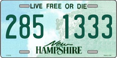 NH license plate 2851333