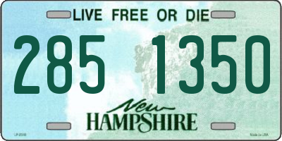 NH license plate 2851350