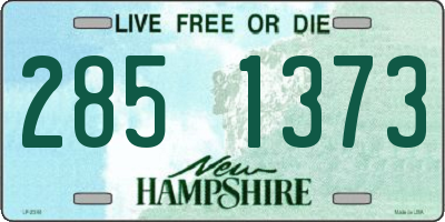 NH license plate 2851373