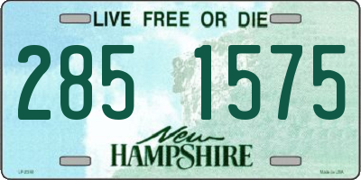 NH license plate 2851575