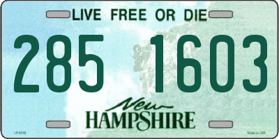 NH license plate 2851603
