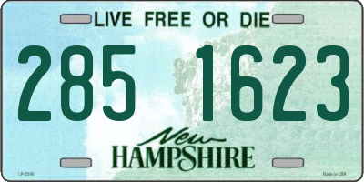 NH license plate 2851623
