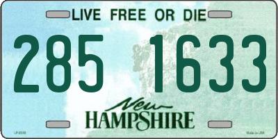 NH license plate 2851633
