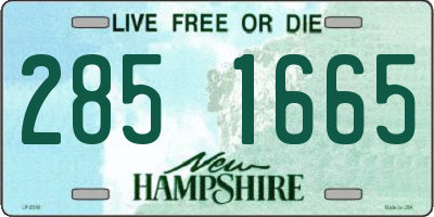 NH license plate 2851665