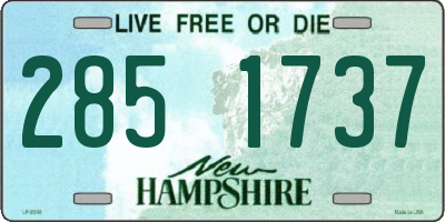 NH license plate 2851737