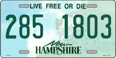 NH license plate 2851803