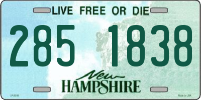 NH license plate 2851838