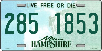 NH license plate 2851853