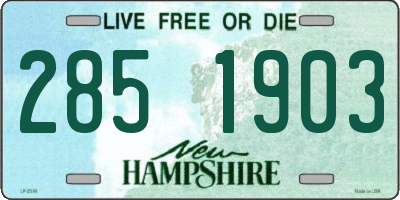NH license plate 2851903
