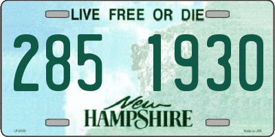 NH license plate 2851930