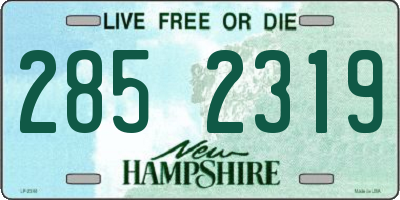 NH license plate 2852319