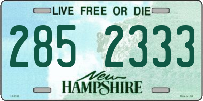 NH license plate 2852333
