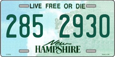 NH license plate 2852930
