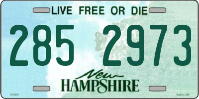 NH license plate 2852973