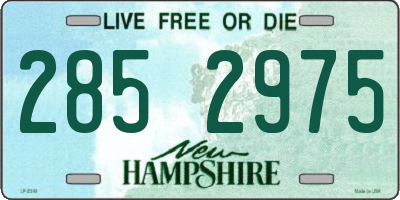 NH license plate 2852975