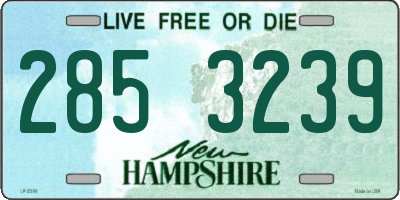 NH license plate 2853239