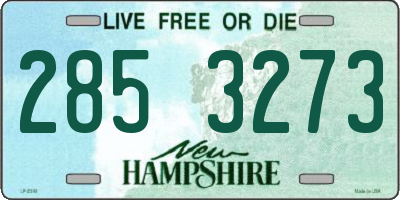 NH license plate 2853273