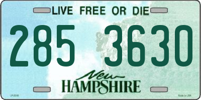 NH license plate 2853630