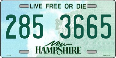 NH license plate 2853665