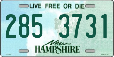 NH license plate 2853731