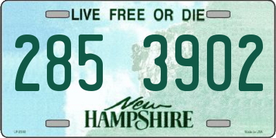 NH license plate 2853902