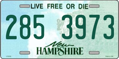 NH license plate 2853973