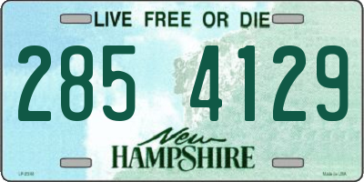NH license plate 2854129