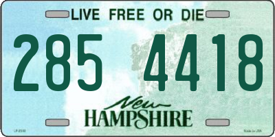 NH license plate 2854418