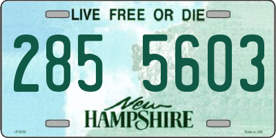 NH license plate 2855603