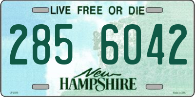 NH license plate 2856042