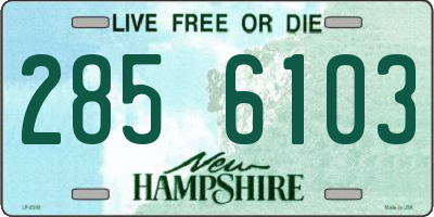 NH license plate 2856103