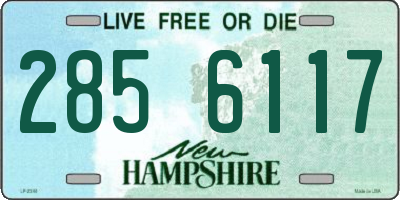 NH license plate 2856117