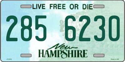 NH license plate 2856230
