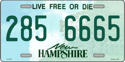 NH license plate 2856665