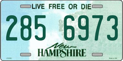 NH license plate 2856973
