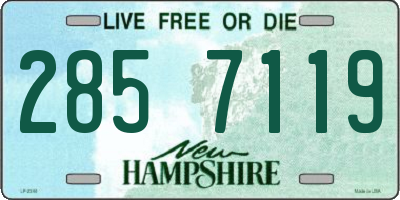 NH license plate 2857119