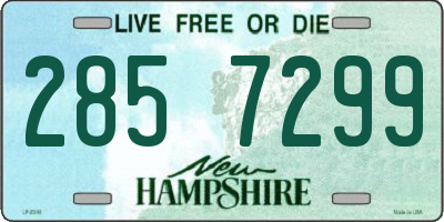 NH license plate 2857299