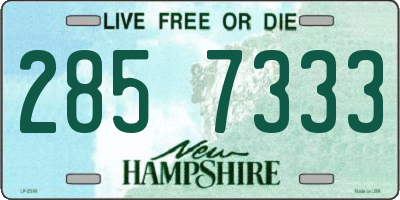NH license plate 2857333