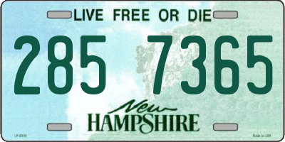 NH license plate 2857365