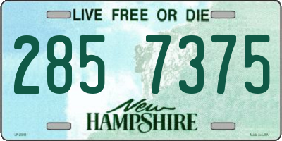 NH license plate 2857375