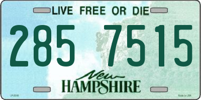NH license plate 2857515