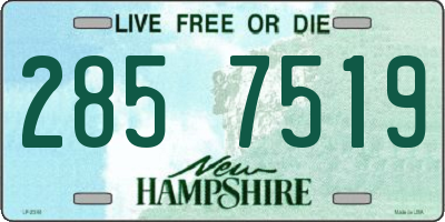 NH license plate 2857519