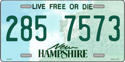 NH license plate 2857573