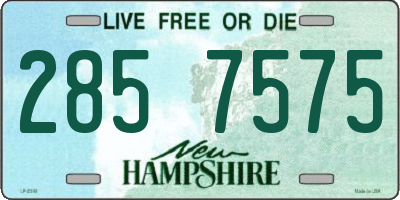 NH license plate 2857575