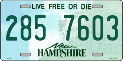 NH license plate 2857603