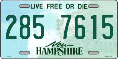 NH license plate 2857615