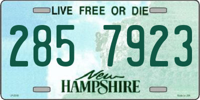 NH license plate 2857923