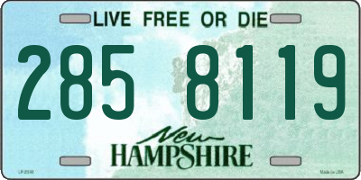 NH license plate 2858119