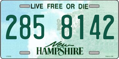 NH license plate 2858142